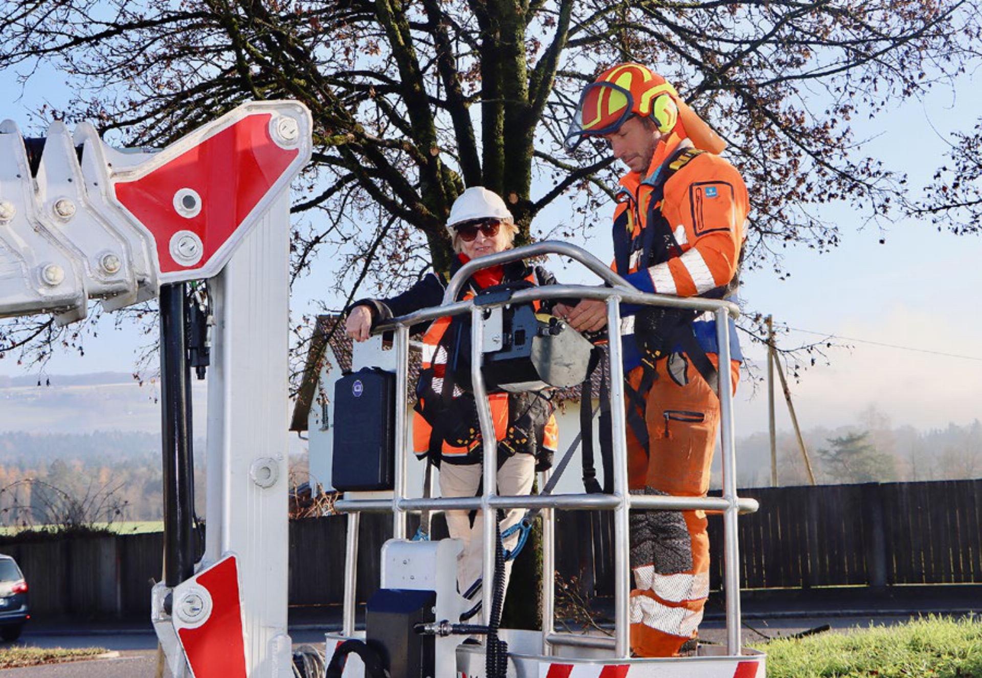 Storchenpaar verlor zum zweiten Mal sein Zuhause - Das Bild wird blockiert. – Möglicherweise durch einen aktiven Adblocker.
