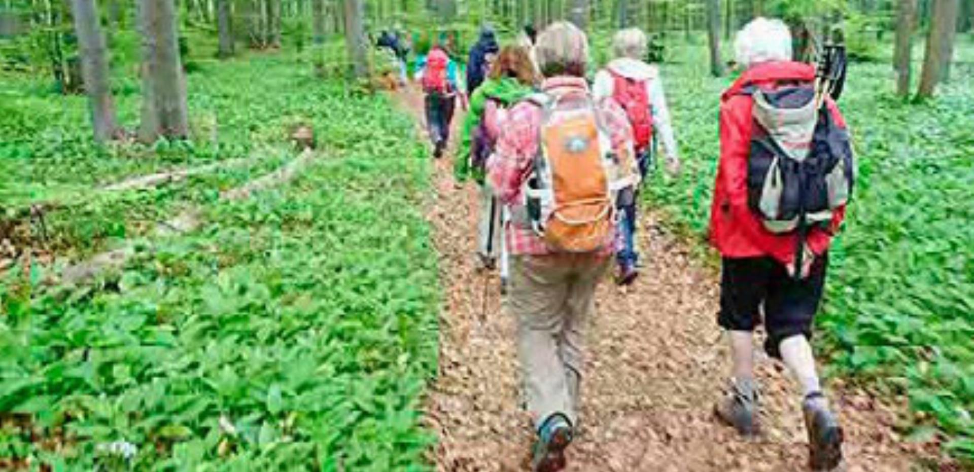 Mellingen - Seniorenwanderung