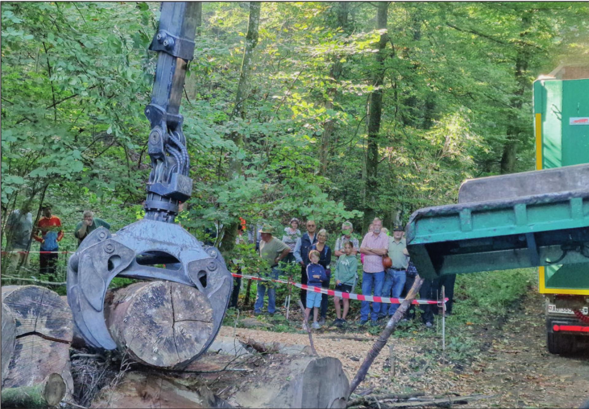 Ein sehr informativer Tag im Wald - Das Bild wird blockiert. – Möglicherweise durch einen aktiven Adblocker.