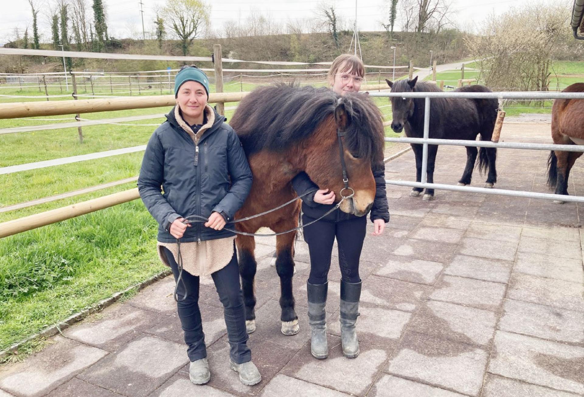 Jugendlicher streifte Pferd und fuhr davon - Das Bild wird blockiert. – Möglicherweise durch einen aktiven Adblocker.