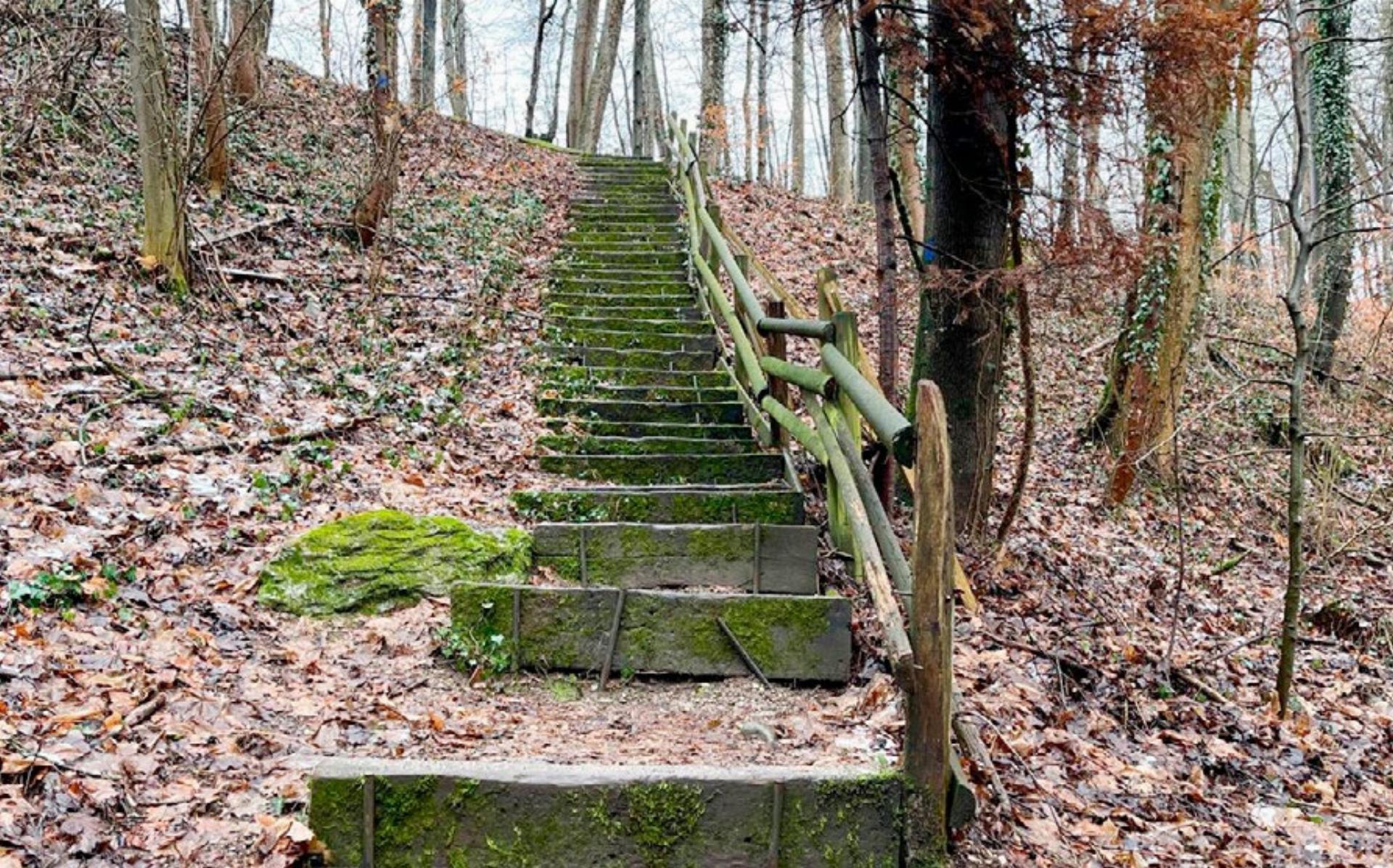 Die neue Treppe ist fertig - Das Bild wird blockiert. – Möglicherweise durch einen aktiven Adblocker.