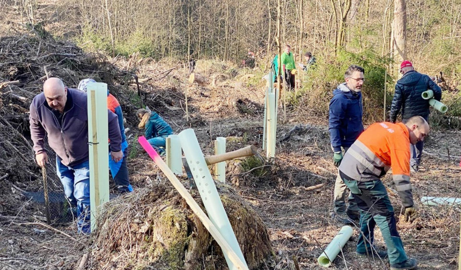 400 Bäume für die nächsten 200 Jahre - Das Bild wird blockiert. – Möglicherweise durch einen aktiven Adblocker.