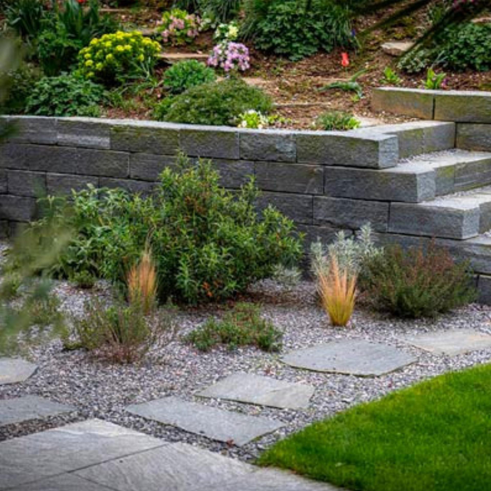 Pflanzenliebe mit Fachwissen - Das Bild wird blockiert. – Möglicherweise durch einen aktiven Adblocker.