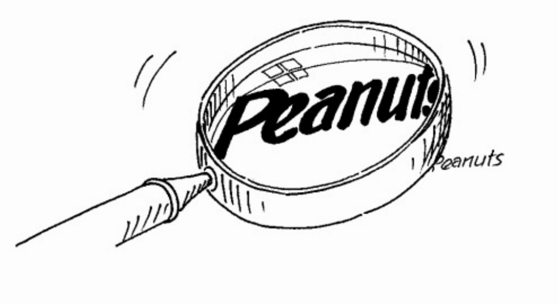 Peanuts - Das Bild wird blockiert. – Möglicherweise durch einen aktiven Adblocker.