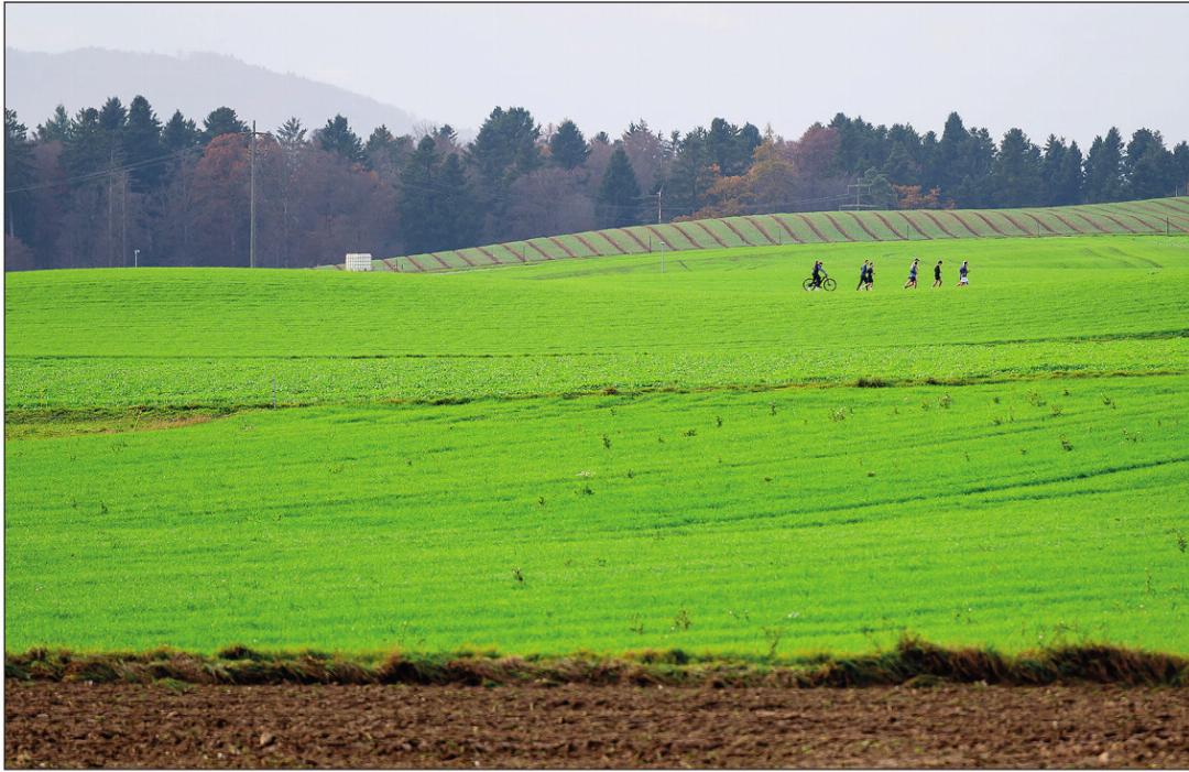Gelaufen wurde in einem Rundkurs. Fotos: @corinnascheuss Gelaufen wurde in einem Rundkurs. Fotos: @corinnascheuss