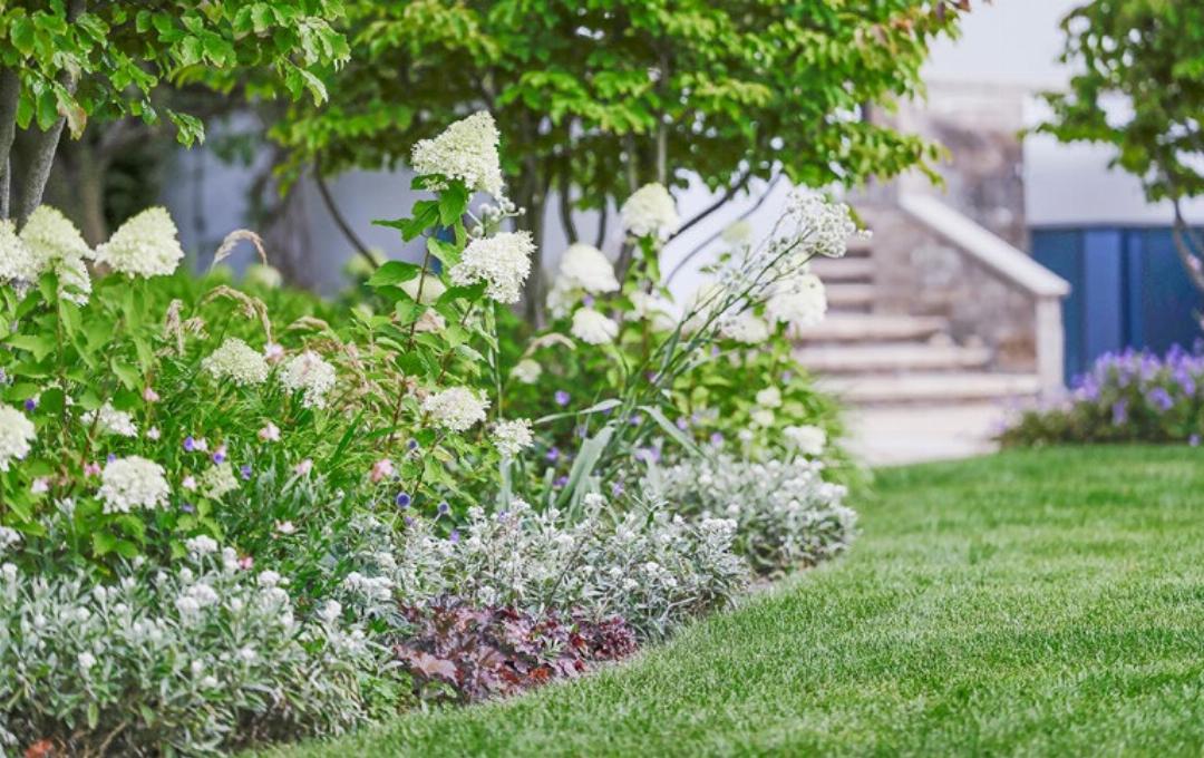 Eine einladene Gartensituation Stauden-Gehölzrabatte. Eine einladene Gartensituation Stauden-Gehölzrabatte.