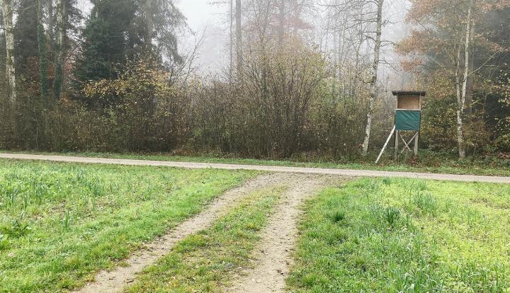 Der Kanton plant seine Messstellen möglichst abseits des Siedlungsgebietes. In Niederrohrdorf wird die Messstation Ende November an der Kreuzung Daviacherweg und Länggweg auf Gemeindegrund installiert. Fotos: ml
