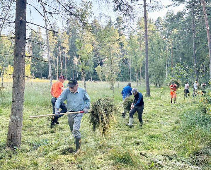 Helferinnen und Helfer beim Entfernen des Riedgrases. Foto: bb/zVg