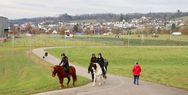 Die Sim Fenster AG verlegt den Firmensitz nach Mellingen und baut ein neues Produktionswerk. Die Bauprofile im Hintergrund zeigen an, wo im Gheid gebaut werden soll. Foto: dg