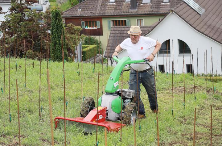 Michael Peterhans mulcht mit der neuen Maschine den Rebberg. Foto: dg