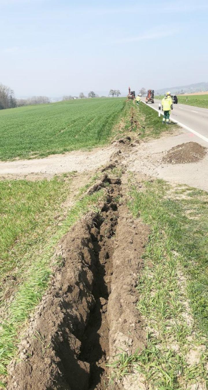 Einpflügen der AEW-Rohre zwischen Bellikon und Remetschwil im Bereich des heutigen Radwegs.