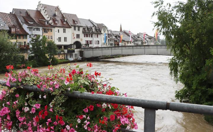 In der Reuss floss viel Wasser, die Altstadt blieb aber verschont. Fotos: dg
