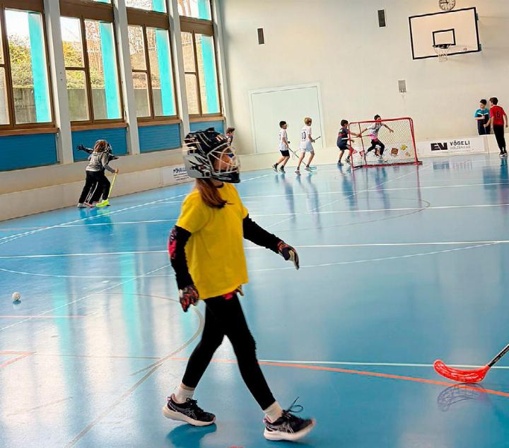 Insgesamt 29 Teams nahmen am Unihockey-Plauschturnier teil. Foto: zVg