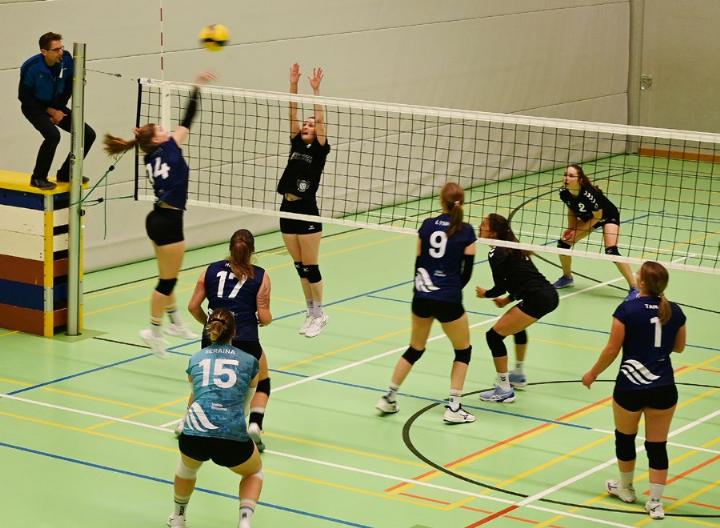 Volley Reusstal zeigte beim Heimspiel eine saubere Teamleistung. Foto: sl