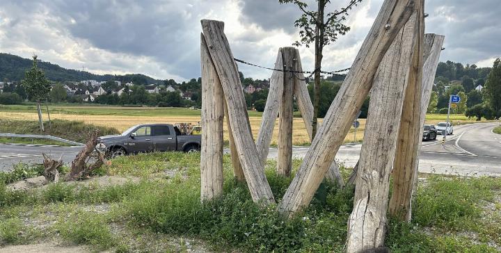 Beim Kreisel an der Birrfeldstrasse setzte der Forstbetrieb Birretholz mehrere «M» für Mellingen. Fotos: hhs