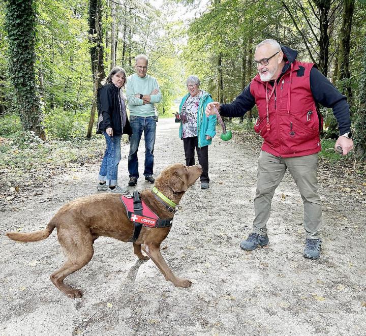 Spürhund «Coffee», ein Chesapeake Bay Retriever, nach getaner Arbeit: Seinem Hundeführer Carmelo Colletti (r.) zeigte er den Befall eines Baumes durch den Asiatischen Laubholzbockkäfer an. Als Lohn winkt das Spiel. Fotos: hhs