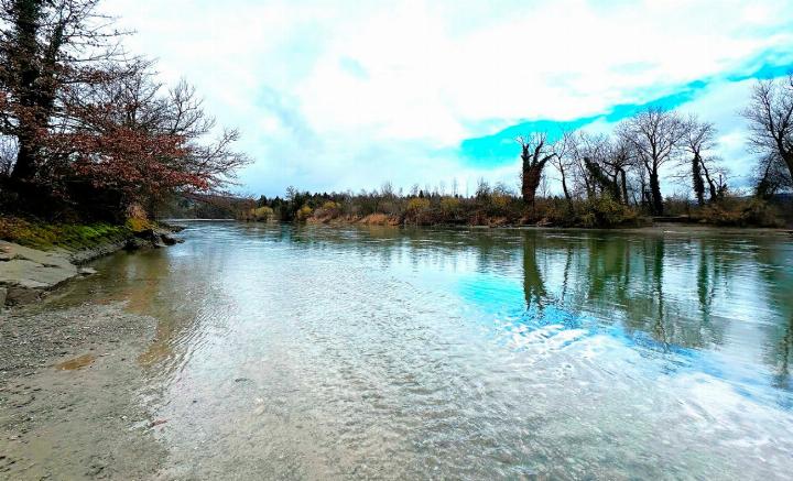 Sandbank und Betonrampe (l.) bleiben beide erhalten. Dahinter wird am Reussufer bei Fischbach-Göslikon renaturiert. Hier soll ein 200 Meter langer Reuss-Seitenarm abzweigen und eine kleine Aue bilden. Foto: zVg
