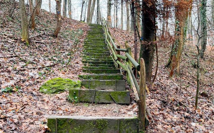 Die frühere Waldtreppe war stark beschädigt, wie das Foto zeigt. Fotos: zVg