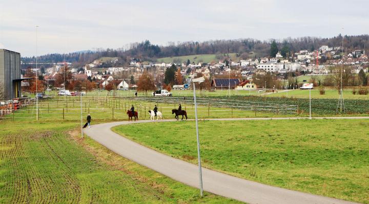 Im Gheid soll an der Industriestrasse das neue Firmengebäude der SIM Fensterfabrik entstehen. Die Dimension des geplanten Gebäudes ist gross. Zurzeit befinden sich ein Gemüsefeld und Weideflächen auf der Parzelle. Fotos: dg/zVg
