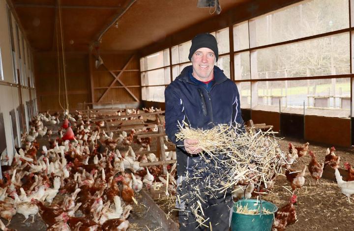 Simon Kohler musste auf dem Trottenhof in Künten wegen der Vogelgrippe keine Massnahmen ergreifen. Seine Hühner können den Freilauf im Wintergarten nutzen. Foto: dg