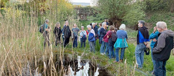 Der Naturschutzverein ist unterwegs. Urs Heinz Aerni erzählt von Täuschungsmanövern im Vogelreich. Foto: zVg