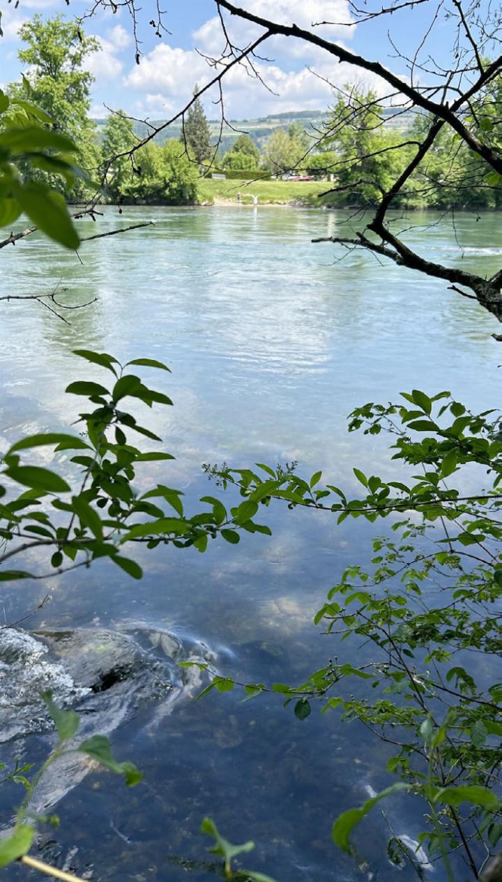 Ein Steg über die Reuss für Fussgängerinnen und Velofahrer soll die Gemeinden Fischbach-Göslikon und Künten-Sulz verbinden. Foto: hhs