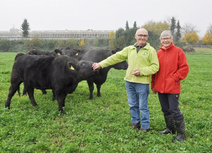 Hans und Rösli Vock vom Wendelinhof auf der Weide mit ihren Angusrindern. Die Rasse züchteten sie selbst aus einer Herde von Milchkühen. Vor 50 Jahren gingen die beiden ein Wagnis ein und setzten als einer der ersten Betriebe in der Schweiz auf Mutterkuhhaltung. Aus der Not geboren, entwickelte sich diese zum Erfolgskonzept. Fotos: ml Hans und Rösli Vock vom Wendelinhof auf der Weide mit ihren Angusrindern. Die Rasse züchteten sie selbst aus einer Herde von Milchkühen. Vor 50 Jahren gingen die beiden ein Wagnis ein und setzten als einer der ersten Betriebe in der Schweiz auf Mutterkuhhaltung. Aus der Not geboren, entwickelte sich diese zum Erfolgskonzept. Fotos: ml