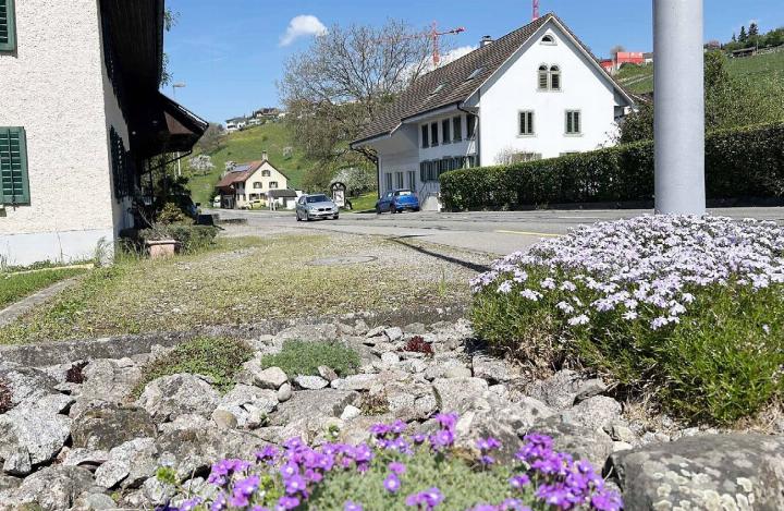 In der Vogelrüti fallen die offenen Vorplätze entlang der Hauptstrasse vor Häusern und Höfen auf. Fotos: hhs