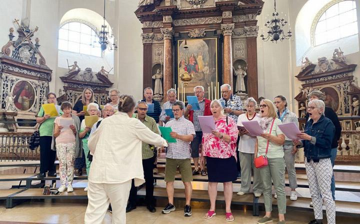Der Kirchenchor Wohlenschwil/Mägenwil sang im Salzburger Dom. Foto: zVg