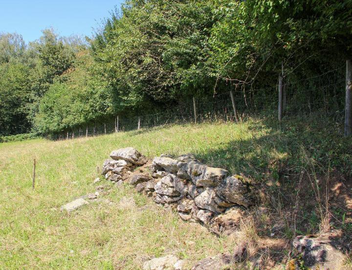 Die alte Trockensteinmauer ist baufällig. Sie wird nun ersetzt. Fotos: zVg
