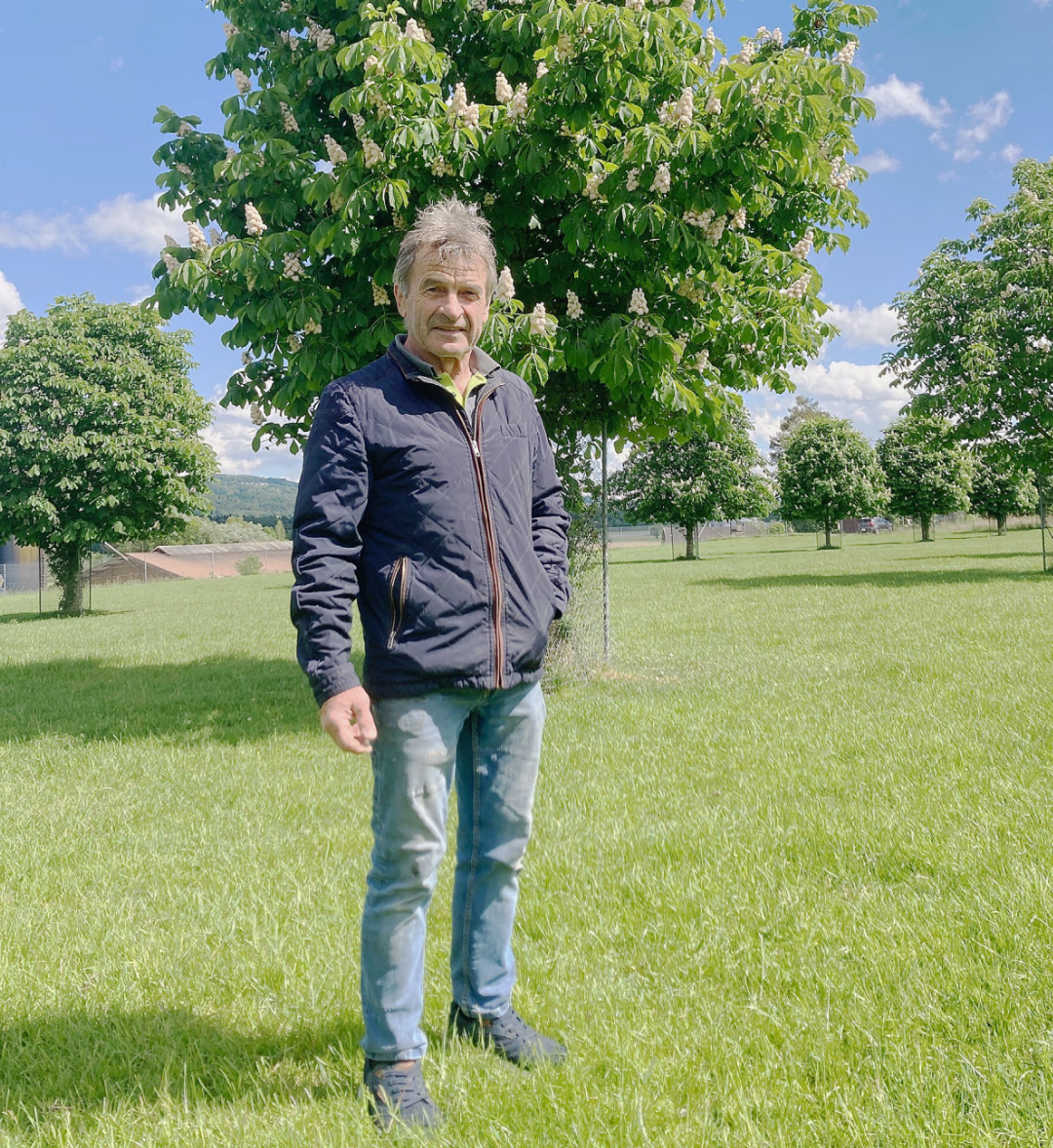 Guido Hufschmid in Nesselnbach auf der extensiv beweideten Ökowiese mit 74 gepflanzten Kastanienbäumen, die jetzt in Vollblüte sind. Foto: mbe Guido Hufschmid in Nesselnbach auf der extensiv beweideten Ökowiese mit 74 gepflanzten Kastanienbäumen, die jetzt in Vollblüte sind. Foto: mbe