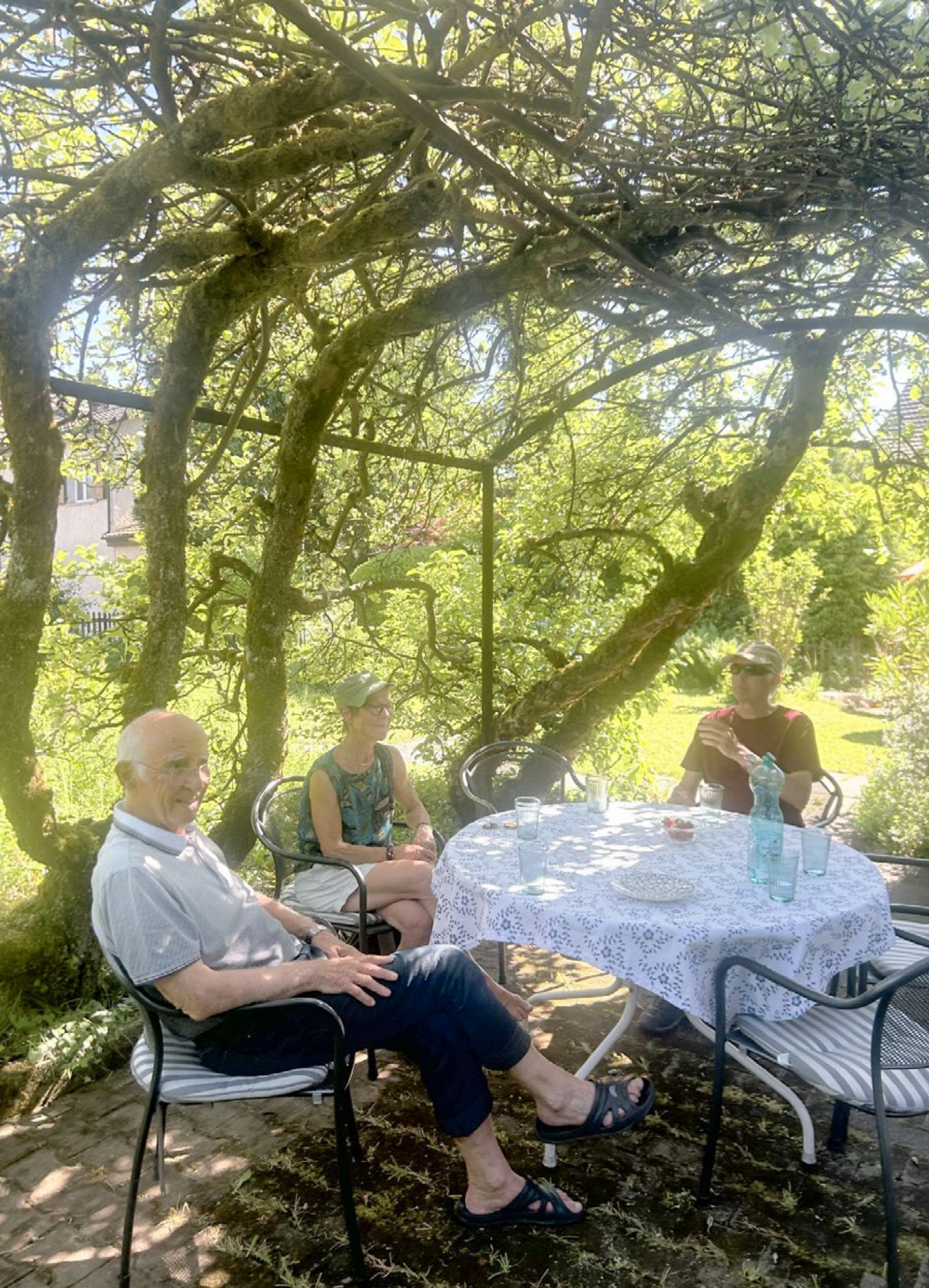 Zu Besuch beim Ameisenlöwen im Wildgarten - Das Bild wird blockiert. – Möglicherweise durch einen aktiven Adblocker.
