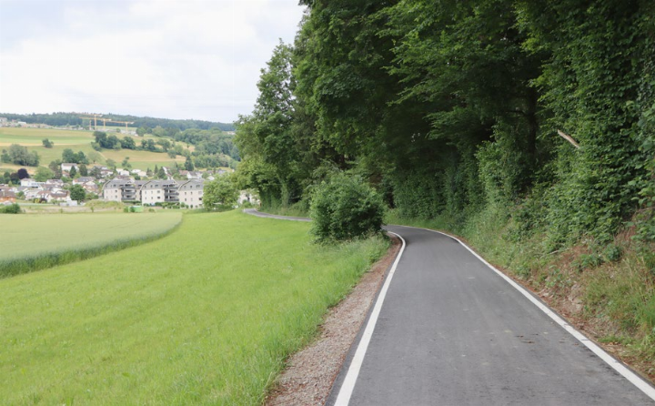 Der Schulweg zwischen Künten und Stetten bleibt im Dunkeln. Nach der Abfuhr vor zwölf Jahren erhielt der Weg weisse Randmarkierungen. Foto: dg