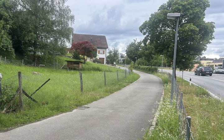 Die Gemeinde will ihr Stück Land, die Parzelle 282 (links), an der Büblikerstrasse verkaufen, weil die Grundeigentümer Neubauten planen. Fotos: hhs