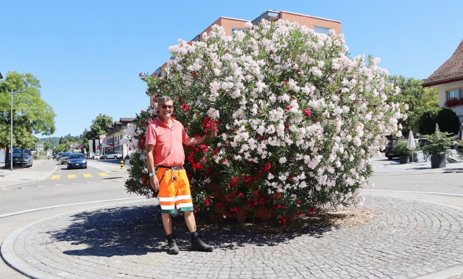 Südliches Flair mitten in Fislisbach - Das Bild wird blockiert. – Möglicherweise durch einen aktiven Adblocker.