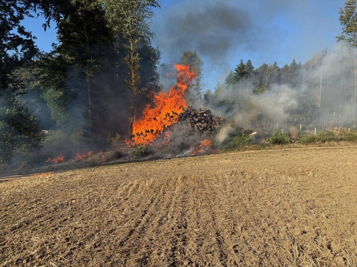 Es herrscht grosse Waldbrandgefahr und die höchste Gefahrenstufe. Das Bild stammt vom Brand einer Holzbeige bei Koblenz, welche die Kantonspolizei Aargau vermeldete. Foto: Kapo