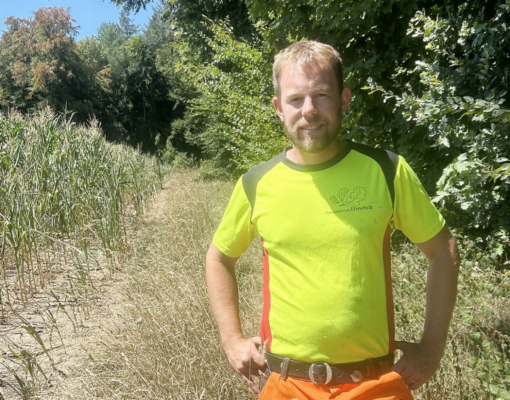 Rund um Förster Markus Lüthy sind Mais, Gras, Brombeeren und Bäume in Birrhard trocken wie Stroh. Foto: hhs