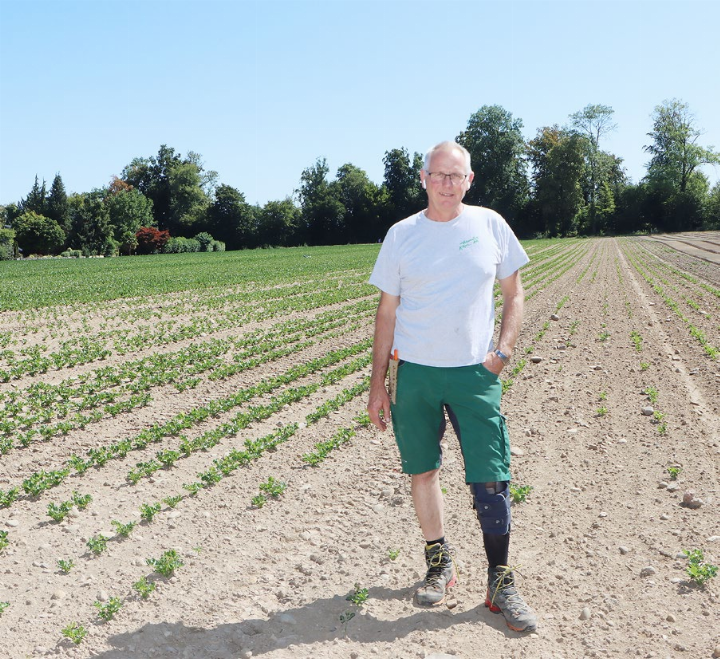 Gemüsebauer Thomas Käser vor einem Feld mit Stangensellerie. Die Hälfte ist vertrocknet, da zu spät bewässert wurde. Foto: dg Gemüsebauer Thomas Käser vor einem Feld mit Stangensellerie. Die Hälfte ist vertrocknet, da zu spät bewässert wurde. Foto: dg