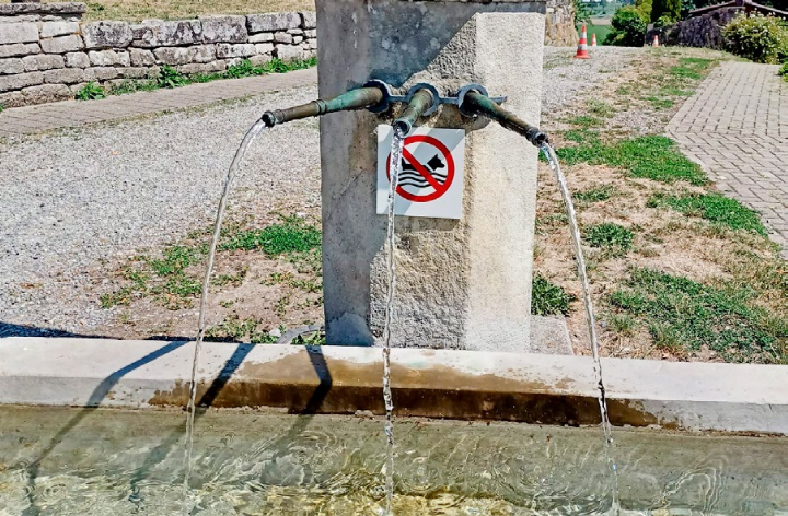 Diesen Brunnen ziert keine «Hunde-Badeverbots»-Tafel mehr. Foto: zVg
