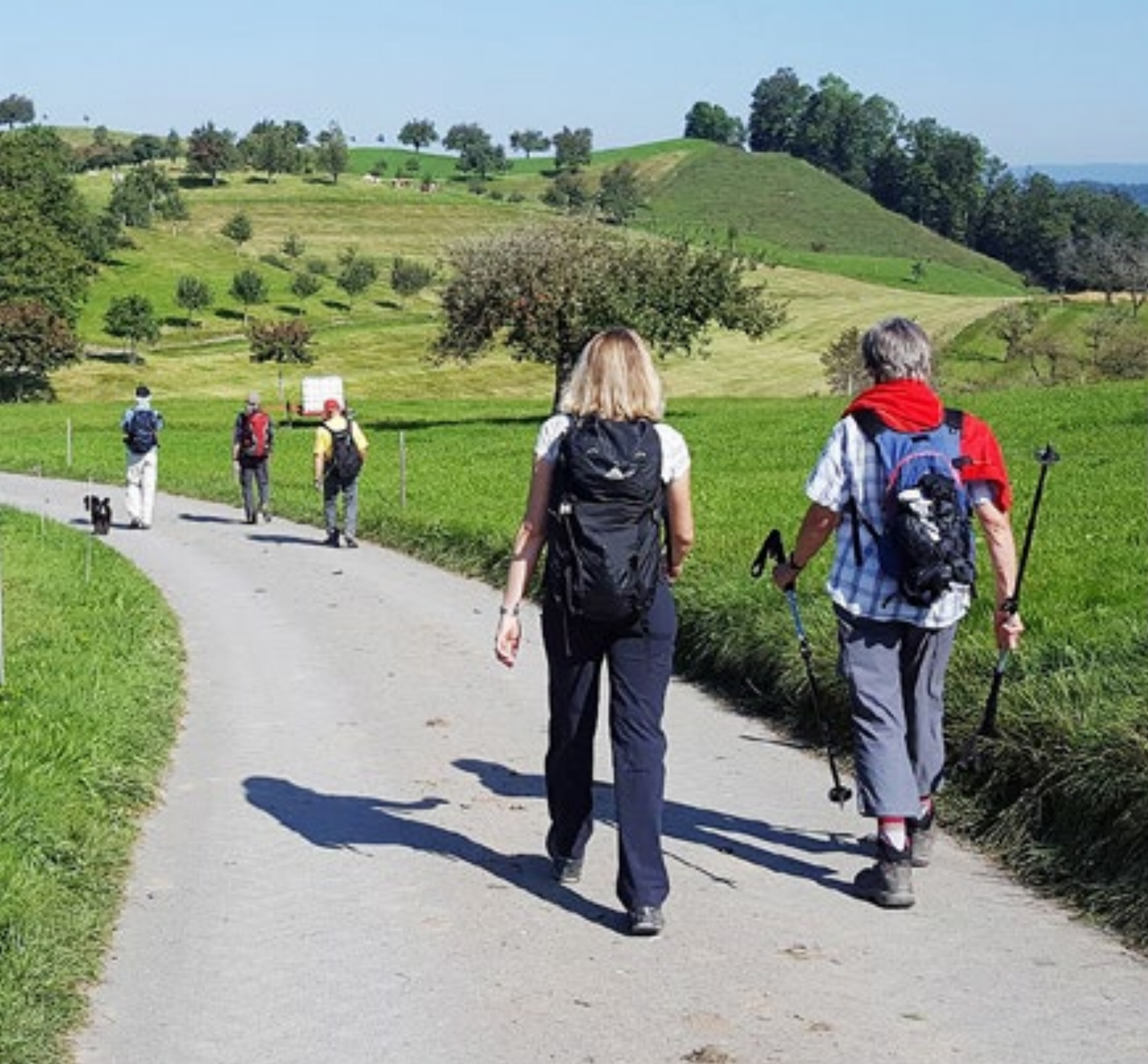 Mellingen - Seniorenwanderung von Stettbach nach Tobelhof - Das Bild wird blockiert. – Möglicherweise durch einen aktiven Adblocker.