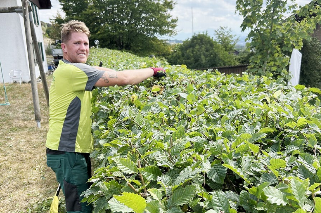Andi Eichler korrigiert und schneidet die vorwitzigen Äste weg. Foto: hhs Andi Eichler korrigiert und schneidet die vorwitzigen Äste weg. Foto: hhs