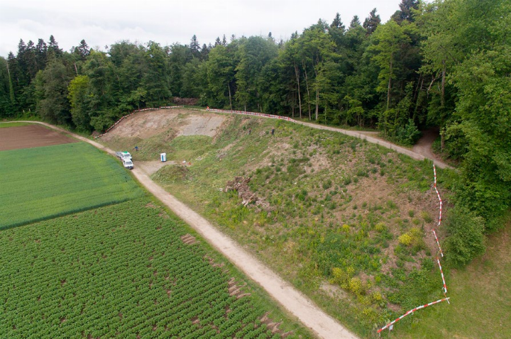 In der ehemaligen Deponie soll ein neues Gewässer für Laubfrösche und andere Amphibienarten entstehen. Foto: Creanatira GmbH