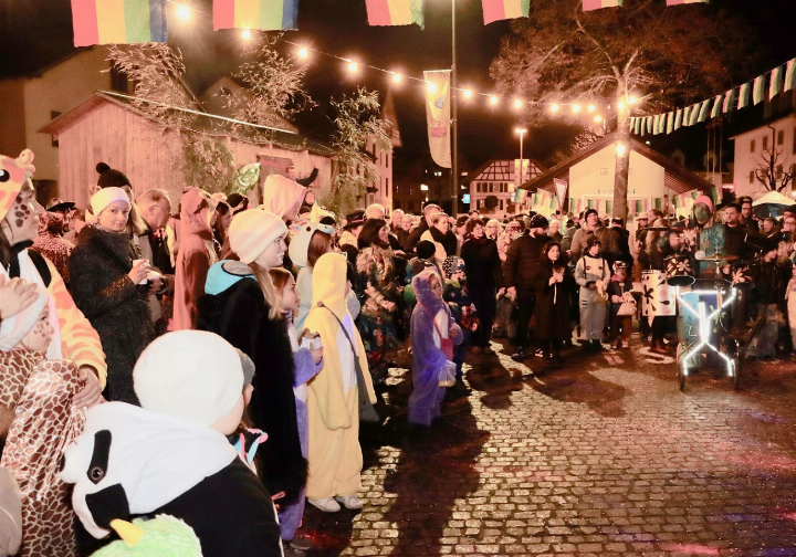 Die Dorfplatzfasnacht 2025 zeigte, wie beliebt die Fasnacht in Niederwil ist. Das Dorf trifft sich, um die schönste Jahreszeit gemeinsam zu feiern. Neu wird 2027 ein Fasnachtskomitee die Niederwiler Fasnacht koordinieren. Foto: dg