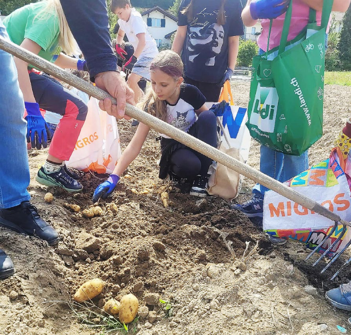 Die Kinder suchten mit Feuereifer auf dem Feld nach Kartoffeln. Fotos: zVg