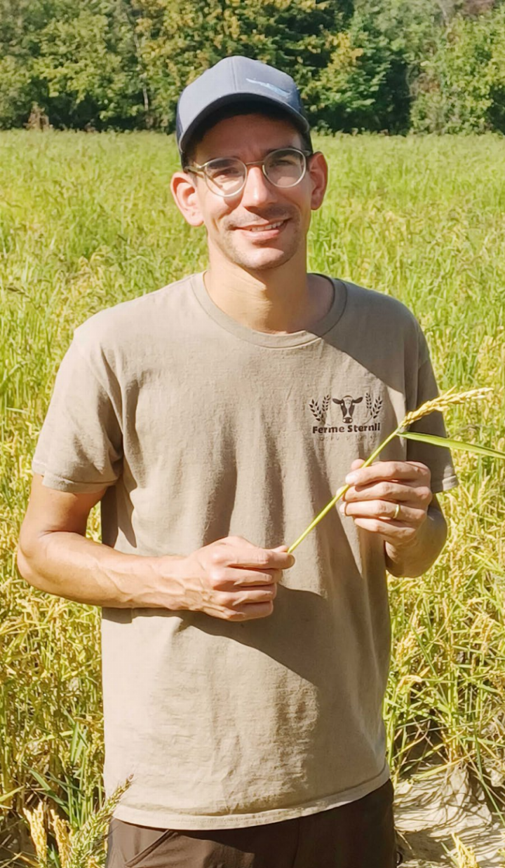 Lukas Neuhaus auf dem Reisfeld des Betriebs Wildenau. Er rechnet dieses Jahr mit einer Rekordernte. Der Hitzesommer war für den Reisanbau ein Vorteil, das Wasser kann der Landwirt aus der Reuss entnehmen. Foto: zVg