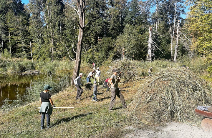 Sie arbeiteten wie emsige Ameisen beim Hockeyweiher. Foto: zVg