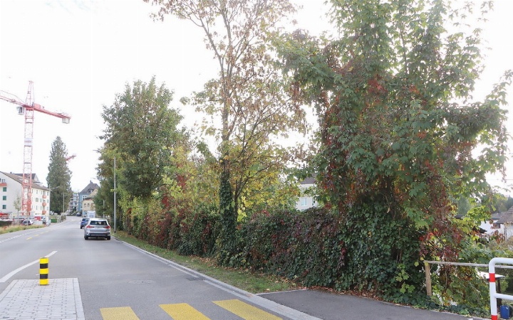 Die Sanierung der Badenerstrasse ist seit zwei Jahren beendet. Entlang der Strasse wurden teilweise neue Bäume gepflanzt. Vis-à-vis der Liegenschaften Badenerstrasse 6 -10 verzichtete der Kanton damals auf einen Ersatz.