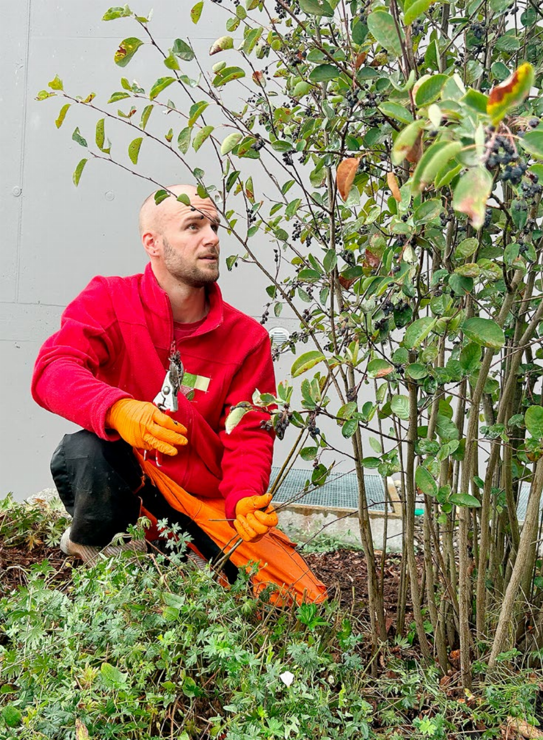 Jonas: Gartenräume statt Schulzimmer. Jonas: Gartenräume statt Schulzimmer.